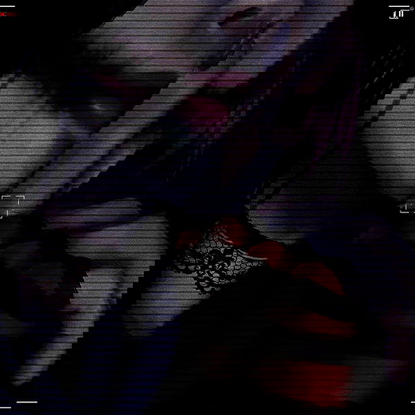 pimpdaddyextreme pimpdaddyextreme archive image