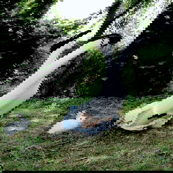 pimpdaddyextreme pimpdaddyextreme archive image