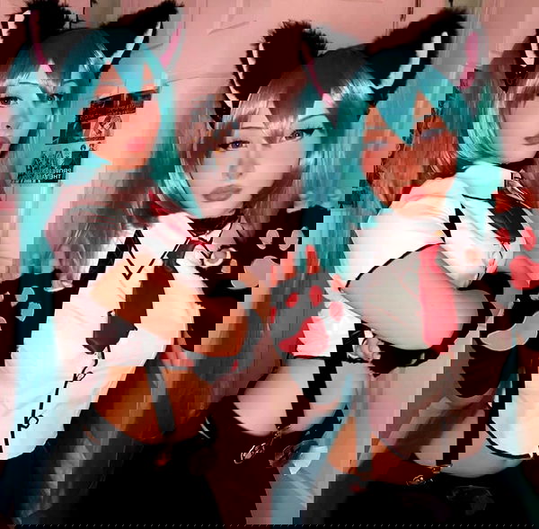 pimpdaddyextreme pimpdaddyextreme archive image