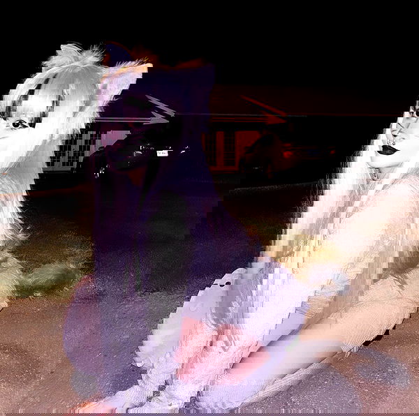 pimpdaddyextreme pimpdaddyextreme archive image