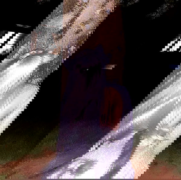 pimpdaddyextreme pimpdaddyextreme archive image