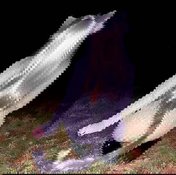 pimpdaddyextreme pimpdaddyextreme archive image