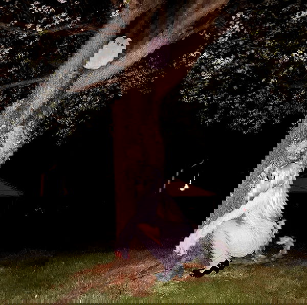 pimpdaddyextreme pimpdaddyextreme archive image