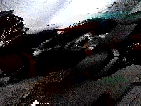 pimpdaddyextreme pimpdaddyextreme archive image