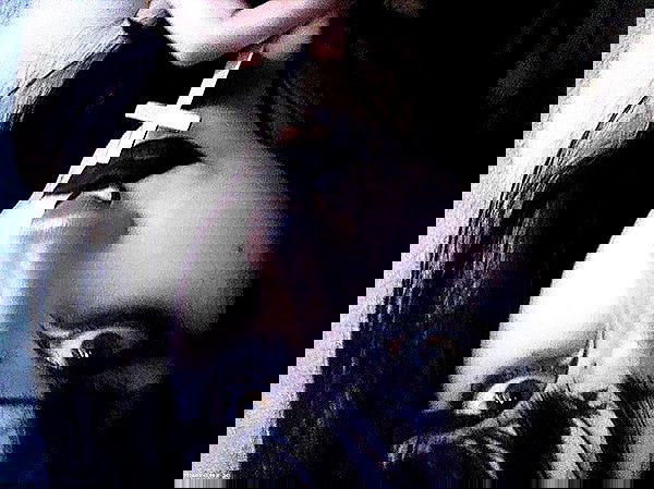 pimpdaddyextreme pimpdaddyextreme archive image