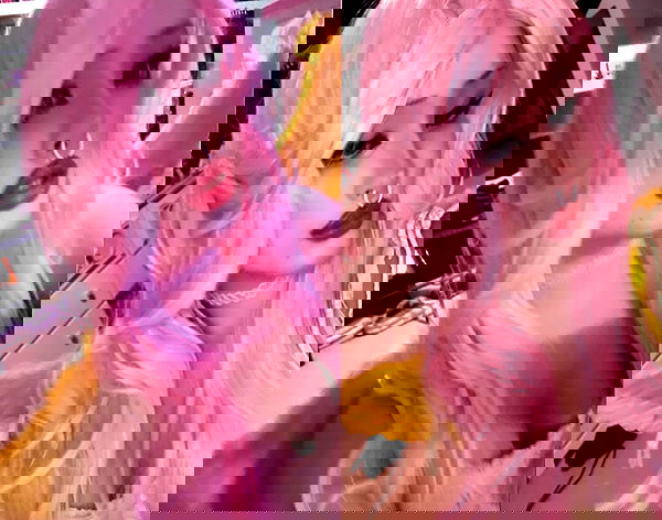 pimpdaddyextreme pimpdaddyextreme archive image