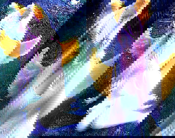 pimpdaddyextreme pimpdaddyextreme archive image