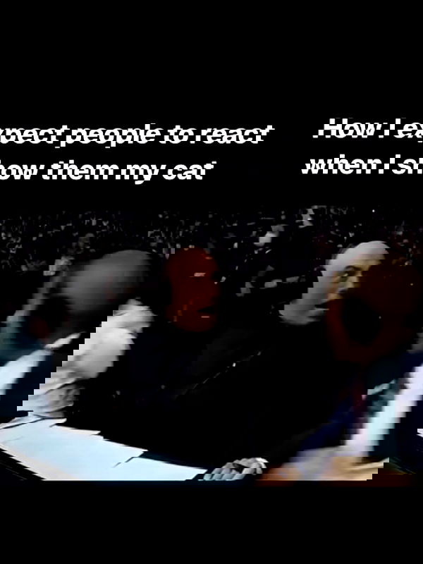 pinkchyuwu pinkchyuwu archive image