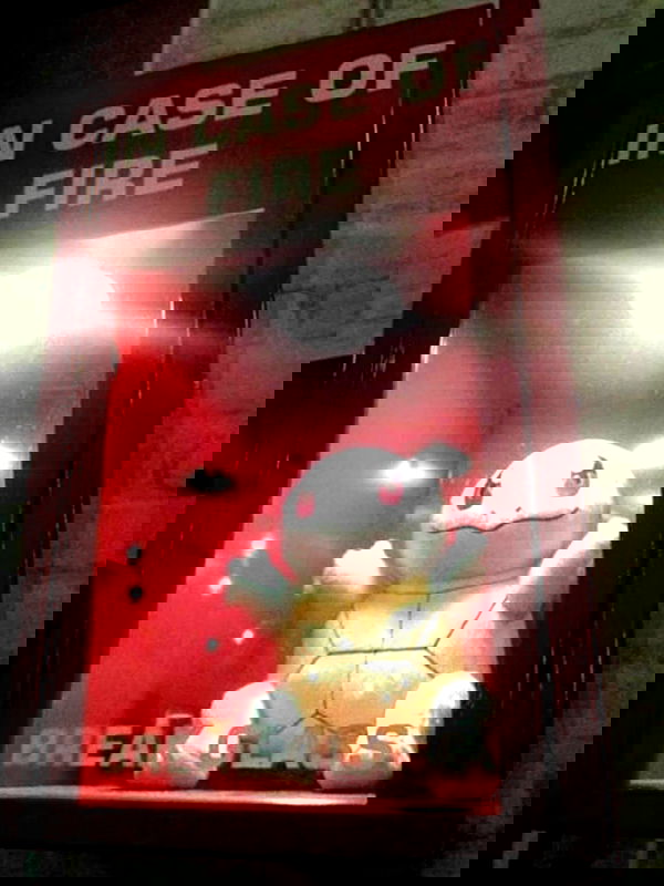 pinkchyuwu pinkchyuwu archive image