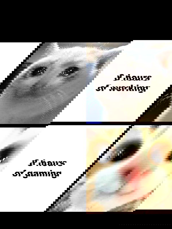 pinkchyuwu pinkchyuwu archive image