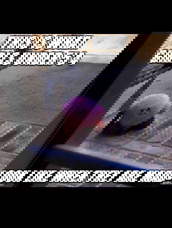 pinkchyuwu pinkchyuwu archive image