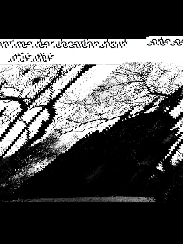 pinkchyuwu pinkchyuwu archive image