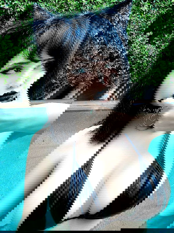 pinkchyuwu pinkchyuwu archive image