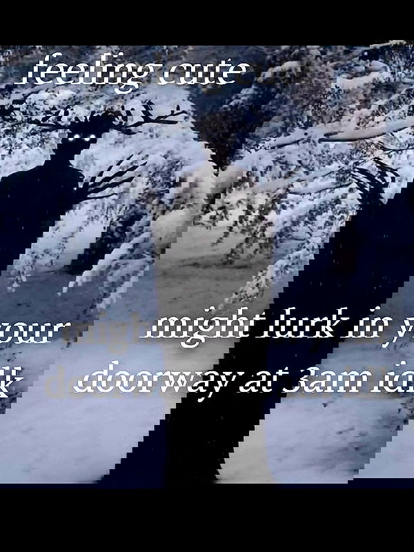 pinkchyuwu pinkchyuwu archive image