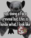 piper.foxx Altpins Profile Picture