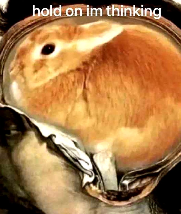 piper.foxx instagram image archive image