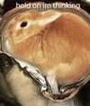 piper.foxx Altpins Profile Picture