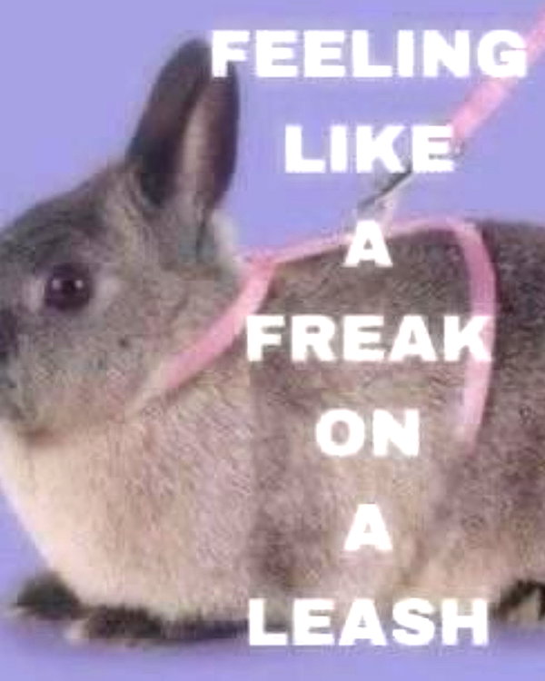piper.foxx instagram image archive image