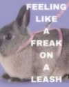 piper.foxx Altpins Profile Picture