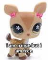 piper.foxx Altpins Profile Picture