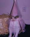 piper.foxx Altpins Profile Picture