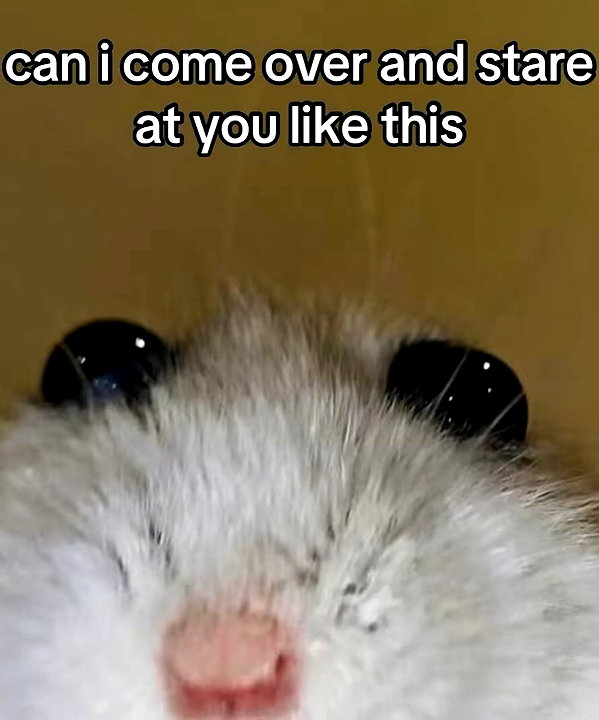 piper.foxx instagram image archive image