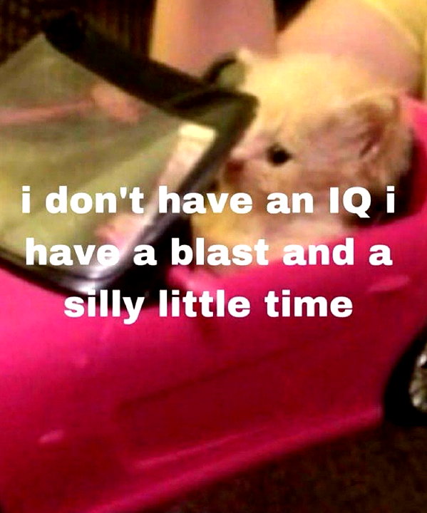 piper.foxx instagram image archive image