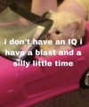 piper.foxx Altpins Profile Picture