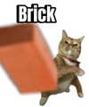 piper.foxx Altpins Profile Picture
