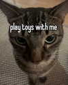 piper.foxx Altpins Profile Picture