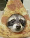 piper.foxx Altpins Profile Picture