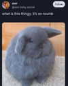 piper.foxx Altpins Profile Picture