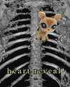 piper.foxx Altpins Profile Picture