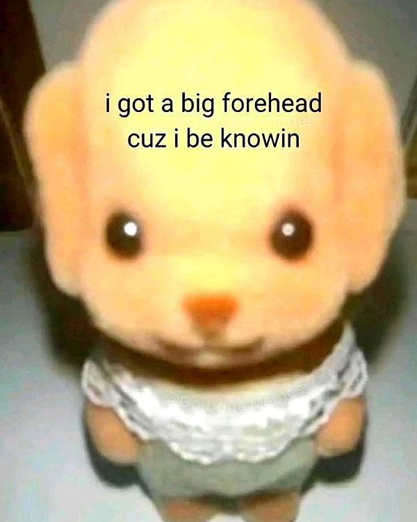 piper.foxx instagram image archive image