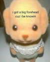 piper.foxx Altpins Profile Picture