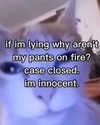 piper.foxx Altpins Profile Picture