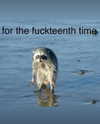 piper.foxx Altpins Profile Picture