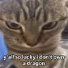 piper.foxx Altpins Profile Picture