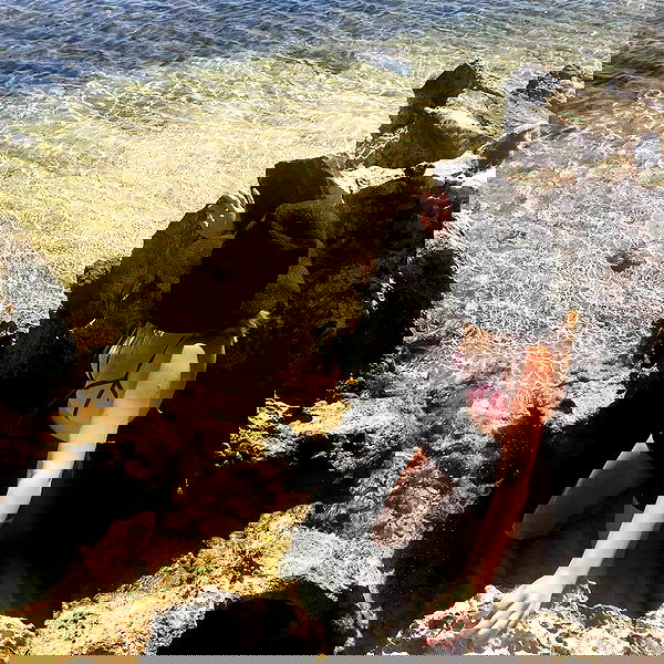 piper.jaylen piper.jaylen archive image