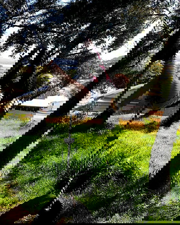 piper.jaylen piper.jaylen archive image