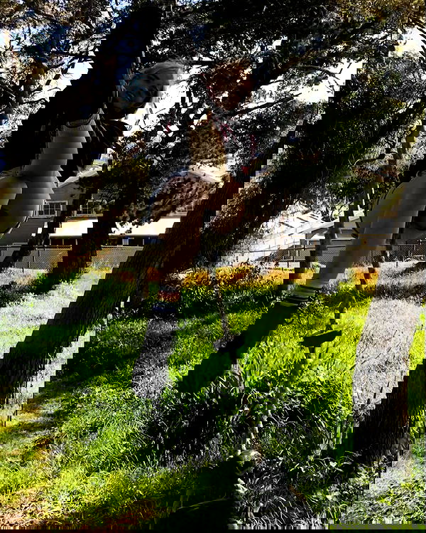 piper.jaylen piper.jaylen archive image