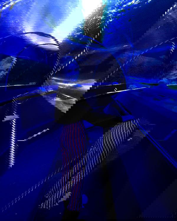 piper.jaylen piper.jaylen archive image