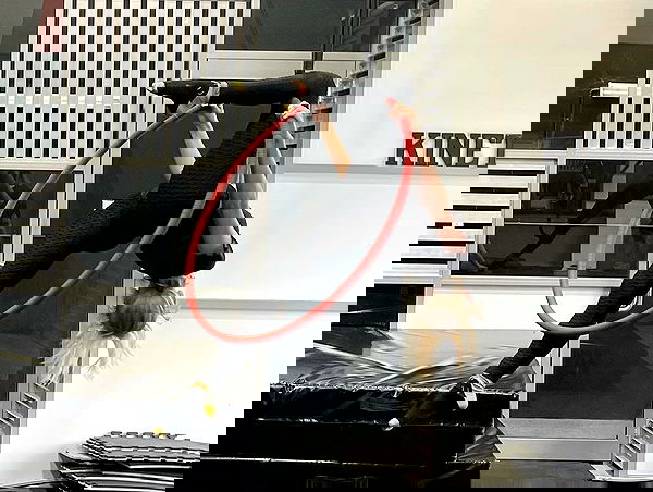 piper.jaylen piper.jaylen archive image