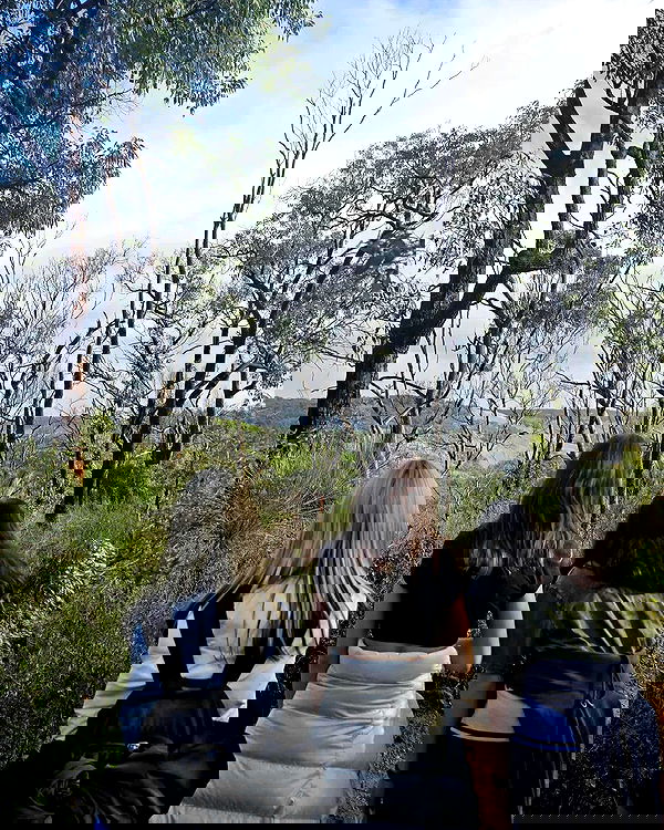 piper.jaylen piper.jaylen archive image