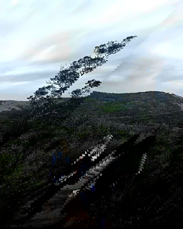 piper.jaylen piper.jaylen archive image