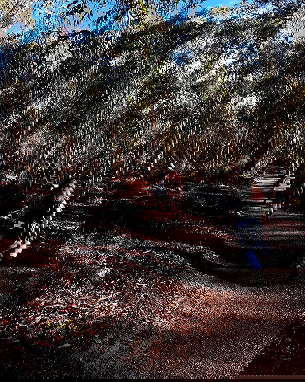 piper.jaylen piper.jaylen archive image