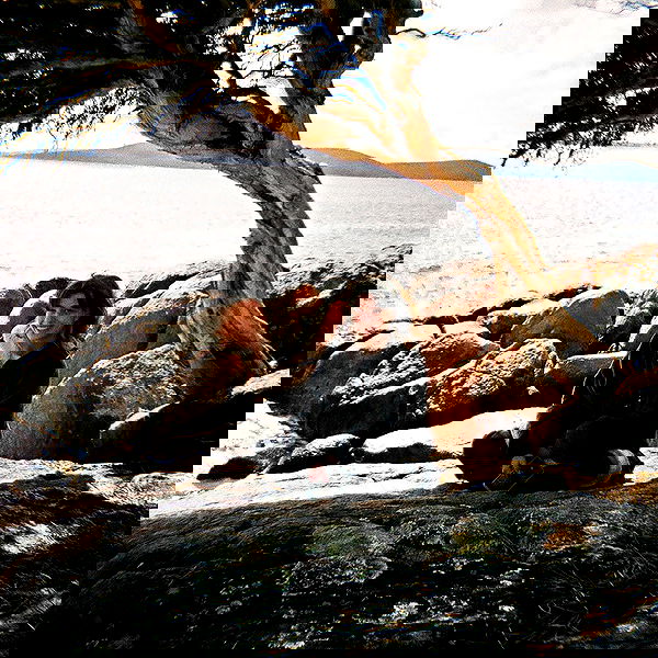 piper.jaylen piper.jaylen archive image