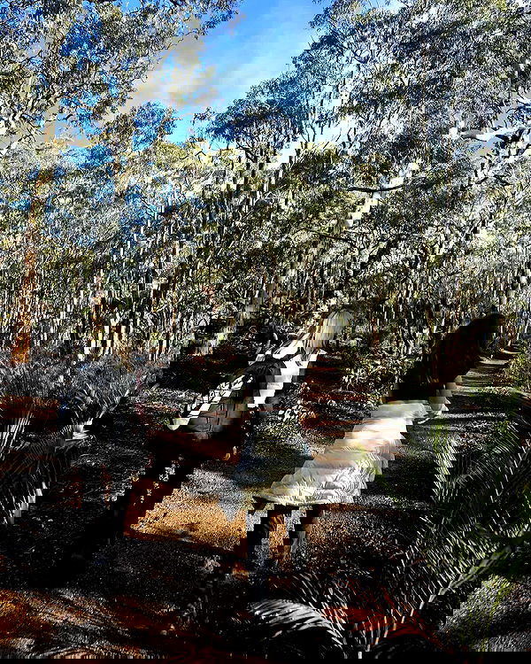 piper.jaylen piper.jaylen archive image