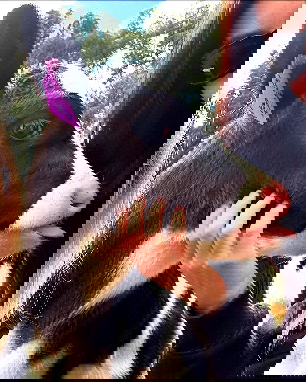 piper.jaylen piper.jaylen archive image