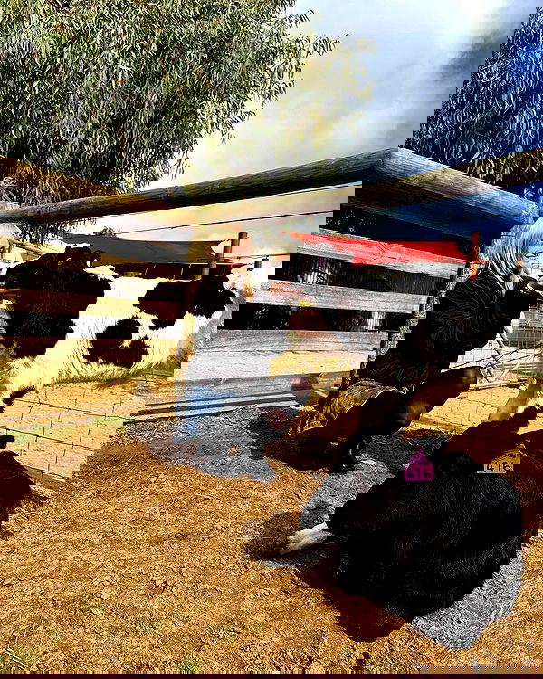 piper.jaylen piper.jaylen archive image